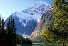 旅行自由 VS 看不懂景點(diǎn)？鷹米導(dǎo)覽二維碼，輕松解決你的所有游覽難題！